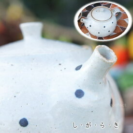 おしゃれ 急須 ティーポット 400cc「ドット白」信楽焼（しがらきやき） スカーレット 陶器 焼物 丸十製陶 日本製 キッチン 小物 食器 古民家カフェ 茶器