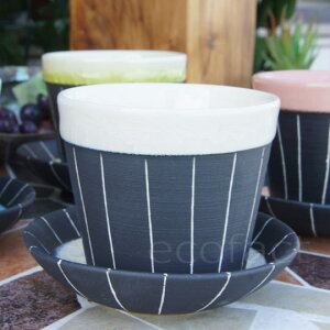  ACXETf[Jbv fU[gJbv fU[gOX X[vJbvu4J[v\[T[t Myāi炫₫j XJ[bg  ĕ ۏ\ { Lb`  