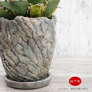 ミニ 観葉植物 プランターの人気商品 通販 価格比較 価格 Com
