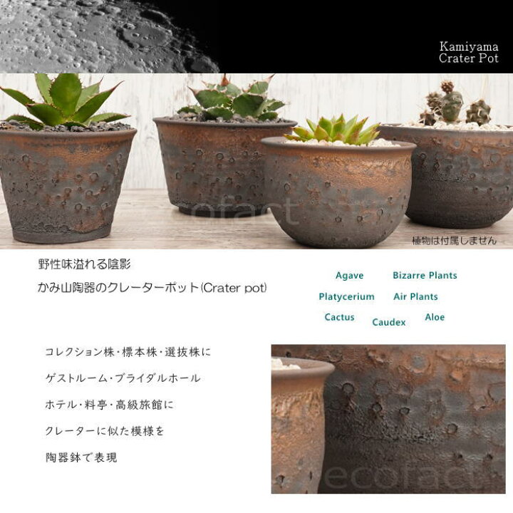 楽天市場】陶器鉢 植木鉢 4号 クレーターポット φ12cm 中深 ゴールド 