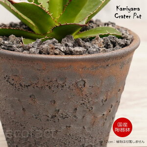 픫 Aؔ 4 N[^[|bg 12cm [ S[h/ubN  v^[ | My ݎR ϗtA AKx T{e rU[vc 򍪐A R[fbNX 