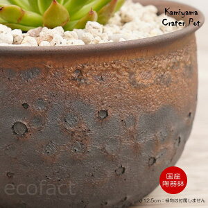 픫 Aؔ 4 N[^[|bg 12.5cm [ S[h/ubN  v^[ | My ݎR ϗtA AKx T{e rU[vc 򍪐A R[fbNX 