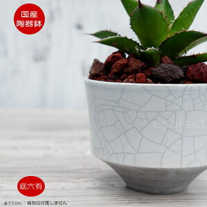 픫 Aؔ ~j|bg ꌊ _OCSS 11cm  킢 v^[ | ϗtA AKx T{e rU[vc 򍪐A R[fbNX A