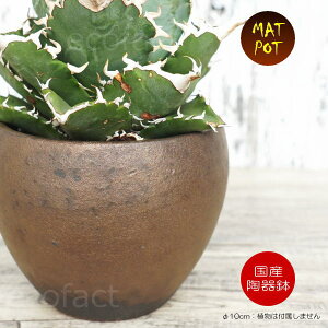 픫 Aؔ  ꌊ MATPOT }bg|bgS Vr[S[h 10cm  v^[ | Myāi炫₫jݎR R[fbNX 򍪐A