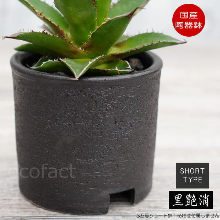 楽天市場 陶器鉢 植木鉢 3 5号ショートタイプ 筒型 ブラック 艶消し黒 おしゃれ プランター 園芸鉢 かみ山陶器 信楽焼 観葉植物 アガベ サボテン ビザールプランツ 塊根植物 コーデックス 多肉植物 ポット 大人の趣味空間 楽天市場 陶器鉢 植木鉢 3 5号ショートタイプ 筒型 ブラック 艶消し黒 おしゃれ プランター 園芸鉢 かみ山陶器 信楽焼 観葉植物 アガベ サボテン ビザールプランツ 塊根植物 コーデックス 多肉植物 ポット 大人の趣味空間