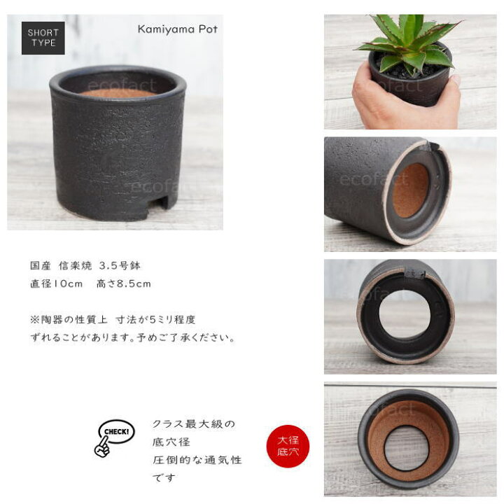 楽天市場 陶器鉢 植木鉢 3 5号ショートタイプ 筒型 ブラック 艶消し黒 おしゃれ プランター 園芸鉢 かみ山陶器 信楽焼 観葉植物 アガベ サボテン ビザールプランツ 塊根植物 コーデックス 多肉植物 ポット 大人の趣味空間 楽天市場 陶器鉢 植木鉢 3 5号ショートタイプ 筒型 ブラック 艶消し黒 おしゃれ プランター 園芸鉢 かみ山陶器 信楽焼 観葉植物 アガベ サボテン ビザールプランツ 塊根植物 コーデックス 多肉植物 ポット 大人の趣味空間