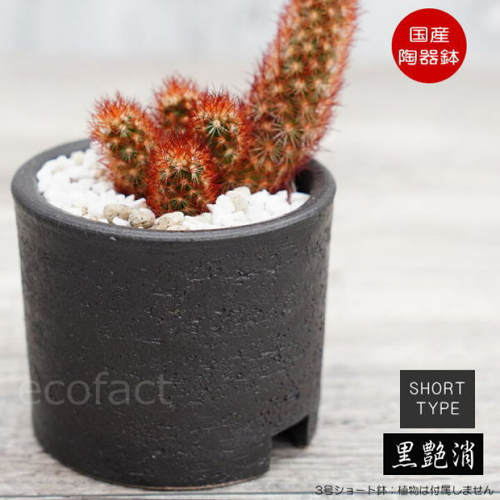 楽天市場 陶器鉢 植木鉢 3号ショートタイプ 筒型 ブラック 艶消し黒 おしゃれ プランター 園芸鉢 かみ山陶器 信楽焼 観葉植物 アガベ サボテン ビザールプランツ 塊根植物 コーデックス 多肉植物 ポット 大人の趣味空間 楽天市場 陶器鉢 植木鉢 3号ショートタイプ 筒型 ブラック 艶消し黒 おしゃれ プランター 園芸鉢 かみ山陶器 信楽焼 観葉植物 アガベ サボテン ビザールプランツ 塊根植物 コーデックス 多肉植物 ポット 大人の趣味空間