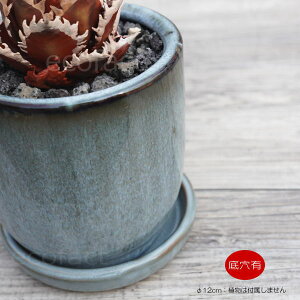 픫 Aؔ ~j|bg Mt \|bg u[ 12cm  킢 v^[ | ϗtA AKx T{e rU[vc 򍪐A R[fbNX A