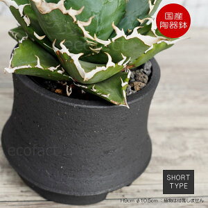 픫 Aؔ r 5t`ȂV[g ꌊ ubN  v^[ | My ݎR ϗtA AKx T{e rU[vc 򍪐A R[fbNX A |