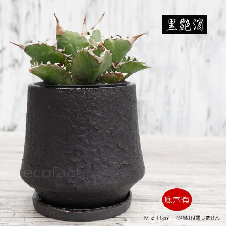 楽天市場】陶器鉢 植木鉢 ミニポット 底穴あり オルガM ブラック 黒 