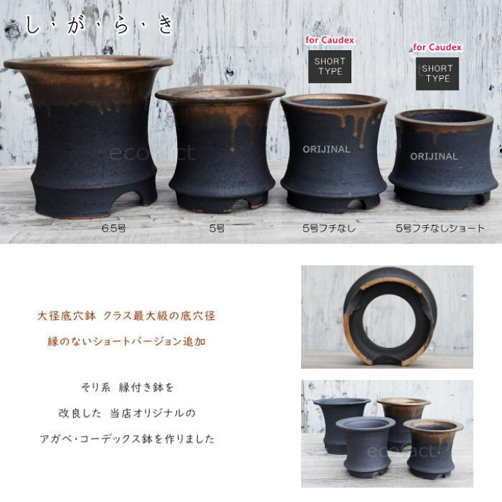 楽天市場】かっこいい 陶器鉢 植木鉢 6.5号 底穴あり サナなし 金彩高  