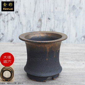 かっこいい 植木鉢 おしゃれ 陶器鉢 5号 そり型 室内 底穴あり サナ無し 金彩高足 ブラック φ15cm かみ山陶器 信楽焼 プランター 園芸鉢 アガベ サボテン 多肉植物 塊根植物 コーデックス