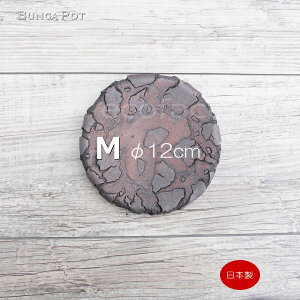 M Aؔ 󂯎M M \[T[  { Lc ی^ M Ԓ bhuEiMj12cm kH BUNGA POT  킢 | q ϗtA AKx T{e rU[vc