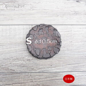 M Aؔ 󂯎M M \[T[  { Lc ی^ M Ԓ bhuEiSj10.5cm kH BUNGA POT  킢 | q ϗtA AKx T{e rU[v