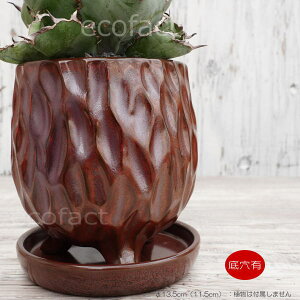 픫 Aؔ ~j|bg Mt \LRS XgiԎKFj 13.5cm  킢 v^[ | ϗtA AKx T{e rU[vc 򍪐A R[fbNX A