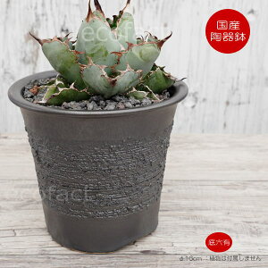陶器鉢 植木鉢 縦長鉢 メタル(焼鉄色 )φ16cm おしゃれ プランター 園芸鉢 かみ山陶器 信楽焼 観葉植物 アガベ サボテン ビザールプランツ 塊根植物 コーデックス 多肉植物 ポット