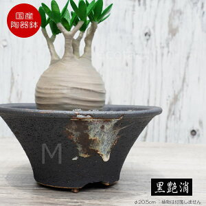 픫 Aؔ ꌊ M ubN  v^[ | My ݎR ϗtA AKx T{e rU[vc 򍪐A R[fbNX A |bg