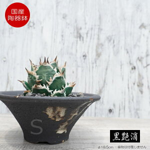陶器鉢 植木鉢 底穴あり 艶消黒そりS ブラック おしゃれ プランター 園芸鉢 信楽焼 かみ山陶器 観葉植物 アガベ サボテン ビザールプランツ 塊根植物 コーデックス 多肉植物 ポット