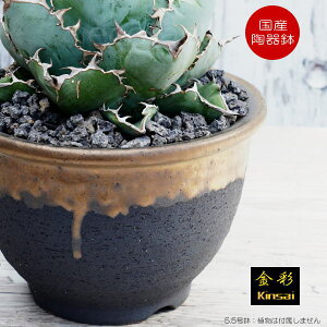 픫 Aؔ 5.5t` ꌊ  ubN  v^[ | My ݎR ϗtA AKx T{e rU[vc 򍪐A R[fbNX A |bg