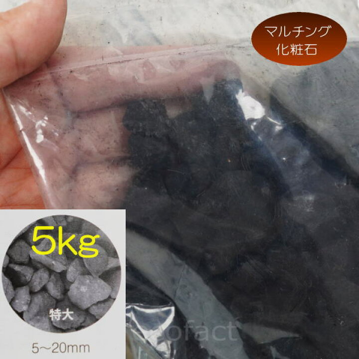 楽天市場 化粧石 黒 飾り石 特大粒 約5mm mm 5kg 化粧砂 カワラエクラ ブラック 艶少なめ 化粧砂利 観葉植物 マルチング ストーン 多肉植物 アガベ サボテン ビザールプランツ 塊根植物 コーデックス 植木鉢 ポット おしゃれ ガーデニング 大人の趣味空間