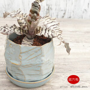 Aؔ  픫 t[|bg ~j|bg ꌊ JOtBu[OC 11cm v^[ | ϗtA A MѐA AbVOC AOIl} JeA