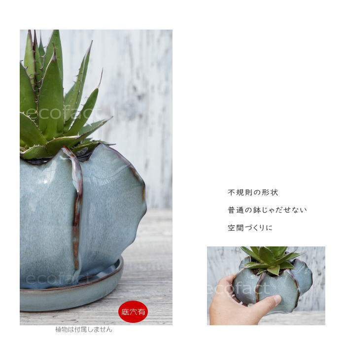 【楽天市場】陶器鉢 植木鉢 ミニポット 皿付 ソルケイブ ブルー