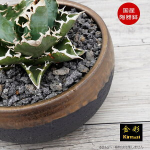 픫 Aؔ ېij21cm ꌊ  ubN  v^[ | My ݎR ϗtA AKx T{e rU[vc 򍪐A R[fbNX A |bg