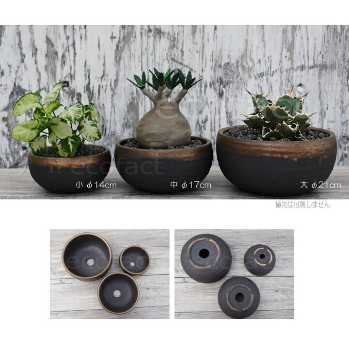 楽天市場】陶器鉢 植木鉢 丸浅（大）φ21cm 底穴あり 金彩 ブラック 