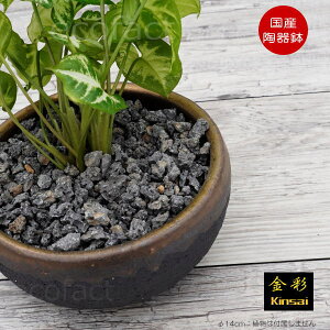 픫 Aؔ ېij14cm ꌊ  ubN  v^[ | My ݎR ϗtA AKx T{e rU[vc 򍪐A R[fbNX A |bg