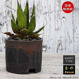 픫 Aؔ 4V[g^Cv ^  S[h/ubN  v^[ | ݎR My ϗtA AKx T{e rU[vc 򍪐A R[fbNX A