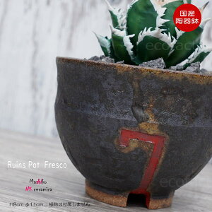 픫 Aؔ  ꌊ vq Ruins Pot Fresco ނ 11cm  | v^[ AKx R[fbNX 򍪐A A NK CERAMICA(GkP[Z~J)