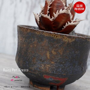 픫 Aؔ  ꌊ vq Ruins Pot Fresco 傻 11cm  | v^[ AKx R[fbNX 򍪐A NK CERAMICA(GkP[Z~J)