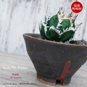 픫 Aؔ  ꌊ vq Ruins Pot Fresco  12cm  | v^[ AKx R[fbNX 򍪐A NK CERAMICA(GkP[Z~J)