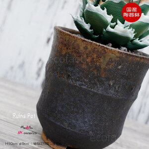 픫 Aؔ  ꌊ vq Ruins Pot i 9cm  | v^[ AKx R[fbNX 򍪐A NK CERAMICA(GkP[Z~J)