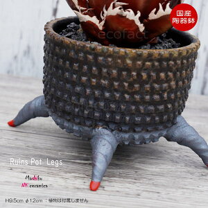 픫 Aؔ  ꌊ vq Ruins Pot 4Legs 11cm  | v^[ AKx R[fbNX 򍪐A NK CERAMICA(GkP[Z~J)