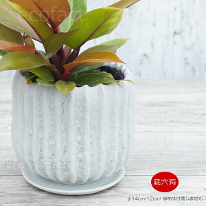 t[|bg Aؔ  픫 zCg  Q 14cm |bg   v^[ ϗtA | K[fjO AOIl} JeA