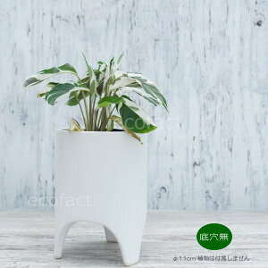 Jo[ t[|bg Aؔ  픫 zCg  ou[ 11cm |bg  t v^[ ϗtA | K[fjO AOIl} JeA