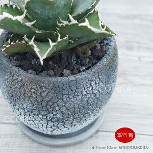 Zg Aؔ ~j|bg ꌊ VFr[{[ OC 14(10) cm  킢 v^[ | ϗtA AKx T{e rU[vc 򍪐A R[fbNX A