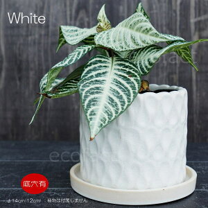 t[|bg Aؔ  픫 ~j|bg ꌊ hbv zCg ^ 14cm v^[ | ϗtA A MѐA AbVOC AOIl} JeA