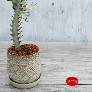 Aؔ  픫 t[|bg ~j|bg ꌊ tF~ju[ 12cm v^[ | ϗtA A MѐA AbVOC AOIl} JeA