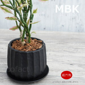 t[|bg Aؔ  픫 ~j|bg x }bgM i^ 12.5cm v^[ | ϗtA A MѐA GL]`bNvc AOIl} JeA