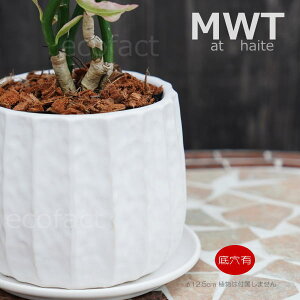 t[|bg Aؔ  픫 ~j|bg x  M i^ 12.5cm v^[ | ϗtA A MѐA GL]`bNvc AOIl} JeA