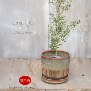 Aؔ  픫 t[|bg ~j|bg ꌊ Streak S uEOC 12cm v^[ | ϗtA I[W[vc