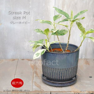 Aؔ  픫 t[|bg ~j|bg ꌊ Streak M OClCr[ 15cm v^[ | ϗtA I[W[vc