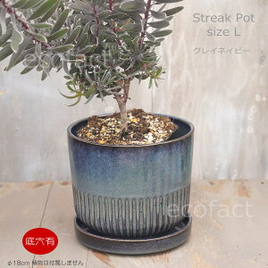 �A�ؔ� ������� ���픫 ���^ 5�b6�� Streak �O���C�l�C�r�[ ���� �󂯎M�t�� �ꌊ���� ���_�� �v�����^�[ �M�ѐA�� �A���J�V�A �t�B���f���h���� �A�K�x