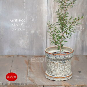 Aؔ  픫 t[|bg ~j|bg ꌊ Grit S AC{[ 12cm v^[ | ϗtA I[W[vc