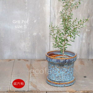 Aؔ  픫 t[|bg ~j|bg ꌊ Grit S u[ 12cm v^[ | ϗtA I[W[vc