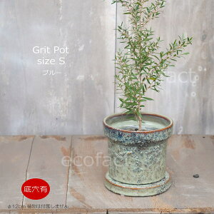 Aؔ  픫 t[|bg ~j|bg ꌊ Grit S OCO[ 12cm v^[ | ϗtA I[W[vc