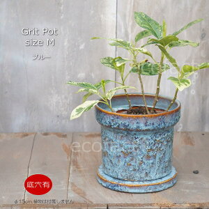 Aؔ  픫 t[|bg ~j|bg ꌊ Grit M u[ 15cm v^[ | ϗtA I[W[vc