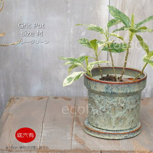 Aؔ  픫 t[|bg ~j|bg ꌊ Grit M OCO[ 15cm v^[ | ϗtA I[W[vc